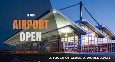 MBS Airport Operational Status: Current Open Hours and Travel Updates