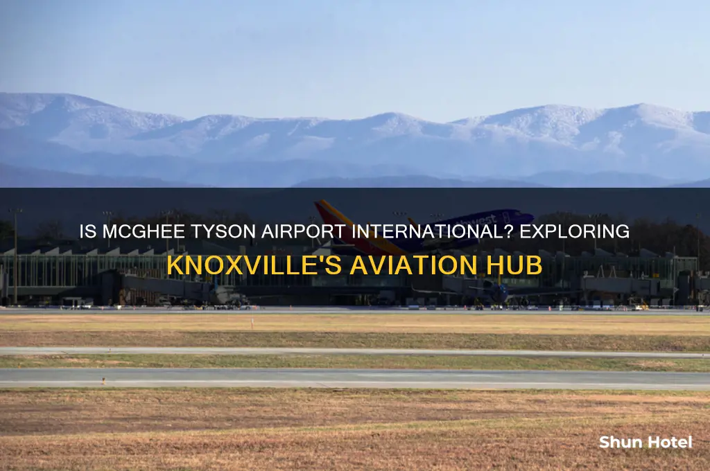is mcghee tyson airport international