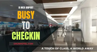 MCO Airport: Efficient Check-Ins Amidst High Traffic