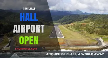 Is Melville Hall Airport Open? Current Status and Updates Revealed