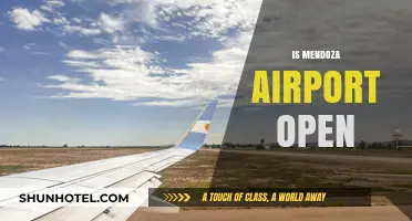 Mendoza Airport Operational Status: Current Updates and Travel Information