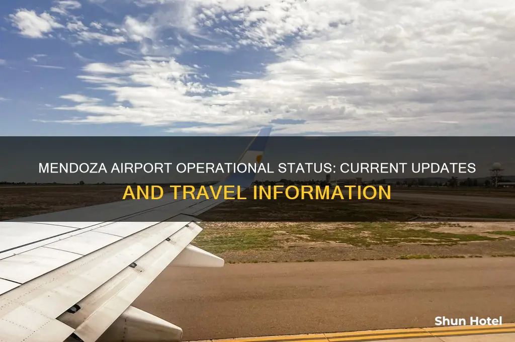 is mendoza airport open