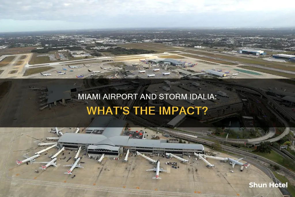 is miami airport affected by idalia