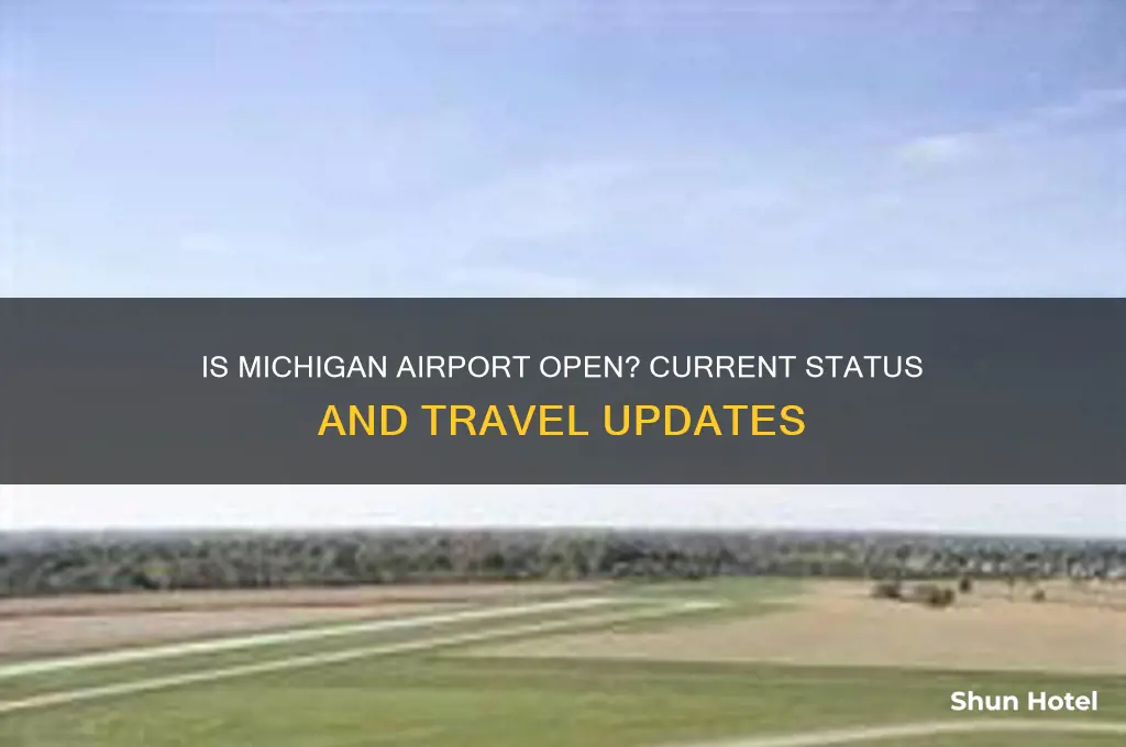 is michigan airport open