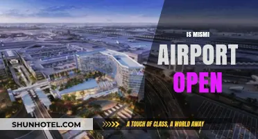 Is Mismi Airport Open? Current Status and Travel Updates