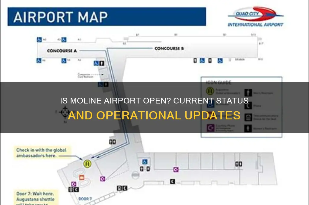 is moline airport open