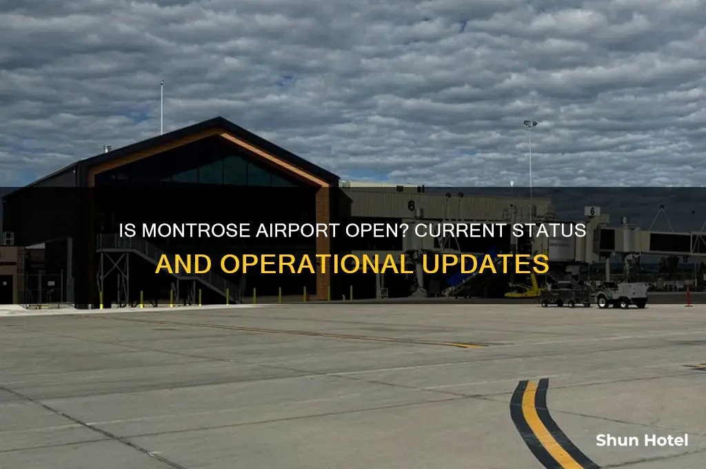 is montrose airport open