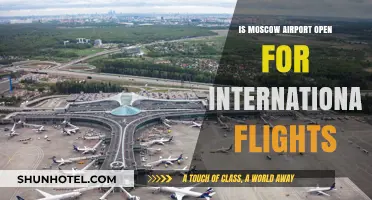 Moscow Airport International Flights: Current Status and Travel Updates