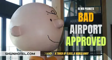 Is Mr. Peanut's Bad Airport Experience Justified?