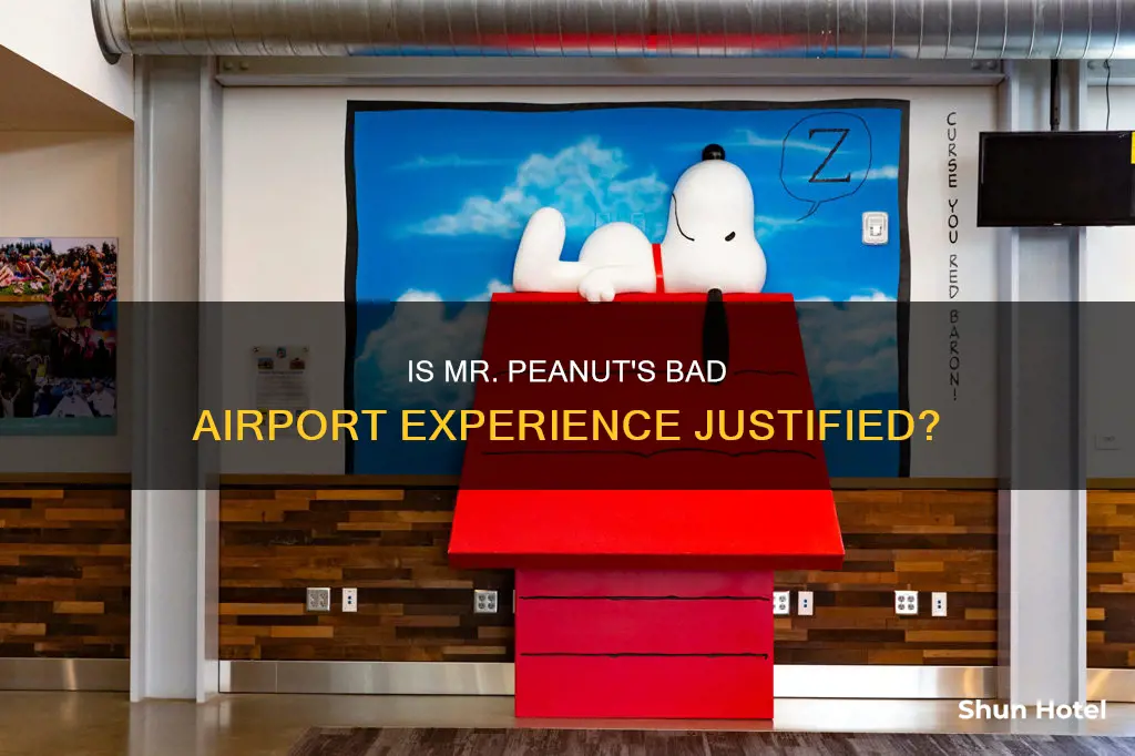is mr peanuts bad airport approved