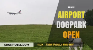 MSP Airport Dog Park: Current Status and Opening Hours Revealed