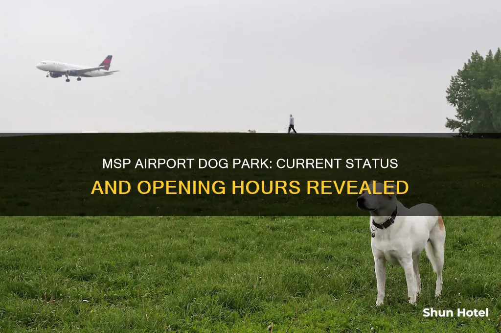 is msp airport dogpark open