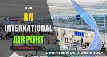 Is MSP an International Airport? Exploring Minneapolis-St. Paul's Global Connections