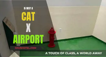 MSY Airport: A Cat-Friendly Travel Hub?