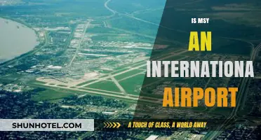 Is MSY an International Airport? Exploring Louis Armstrong's Global Reach