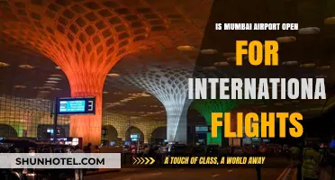 Mumbai Airport International Flights: Current Status and Updates