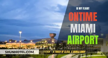 Miami Airport: Efficient Travel with On-Time Flights