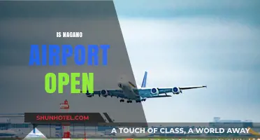 Is Nagano Airport Open? Current Status and Travel Updates