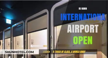 Is Naha International Airport Open? Current Status and Updates