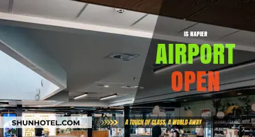 Is Napier Airport Open? Current Status and Operational Updates