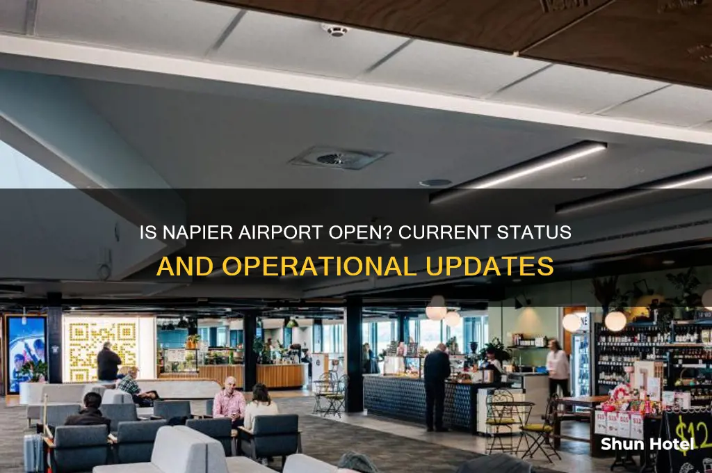 is napier airport open
