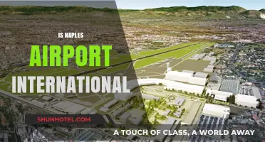 Is Naples Airport International? Exploring Its Global Connectivity and Services