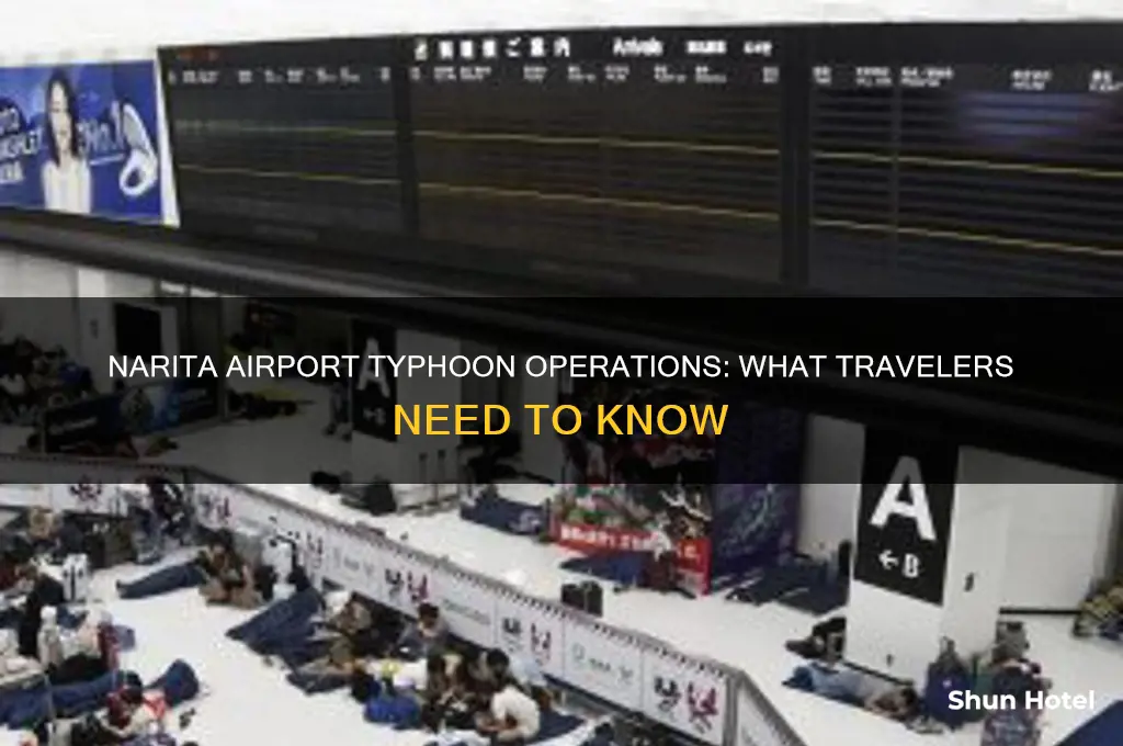 is narita airport open typhoon