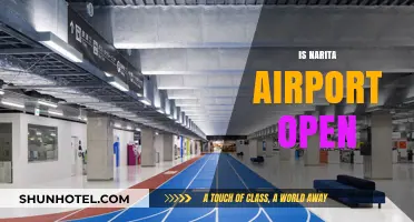Is Narita Airport Open? Current Status and Operational Updates