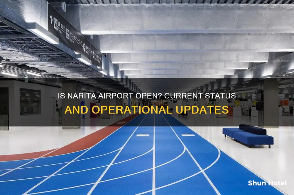 is narita airport open