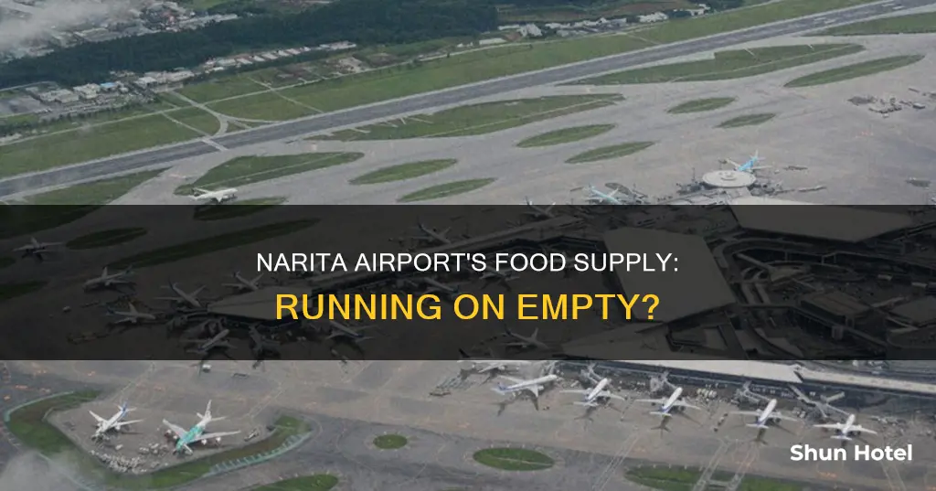 is narita airport out of food