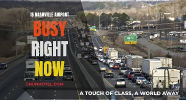 Nashville Airport: Current Wait Times and Traffic Insights