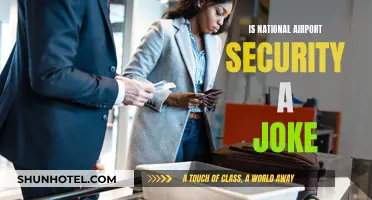 Airport Security: A Laughing Matter for National Safety?