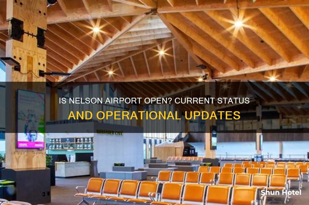 is nelson airport open