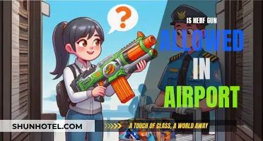 Can You Bring Your Nerf Gun on a Plane?