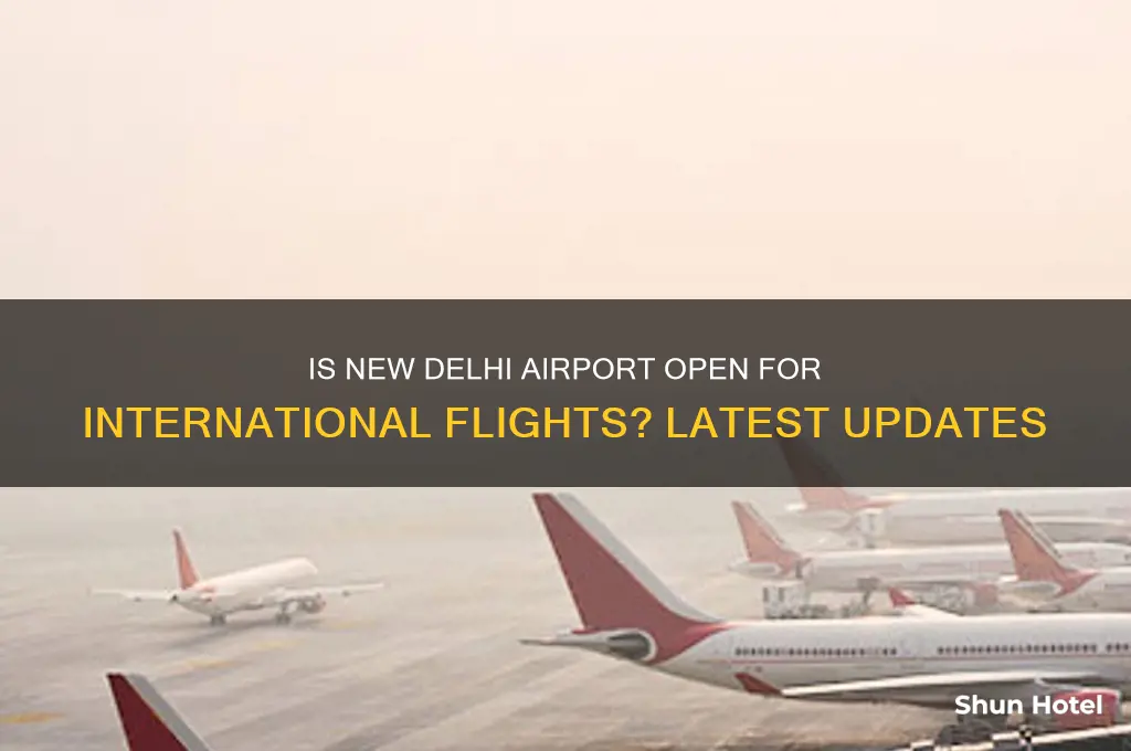 is new delhi airport open for international flights
