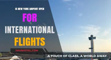 Is New York Airport Open for International Flights? Latest Updates