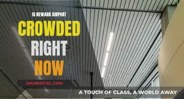 Newark Airport: Current Crowding and Wait Times