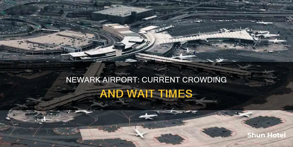 is newark airport crowded right now