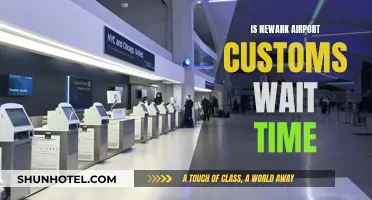 Newark Airport: Efficient Customs Clearance for Travelers