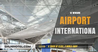 Is Newark Airport International? Exploring EWR's Global Flight Connections
