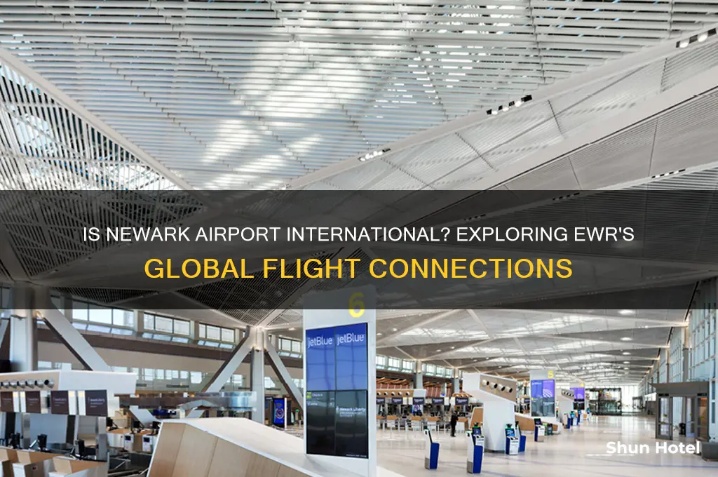 is newark airport international