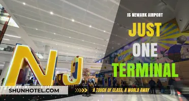 Exploring Newark Airport: More Than Just One Terminal?