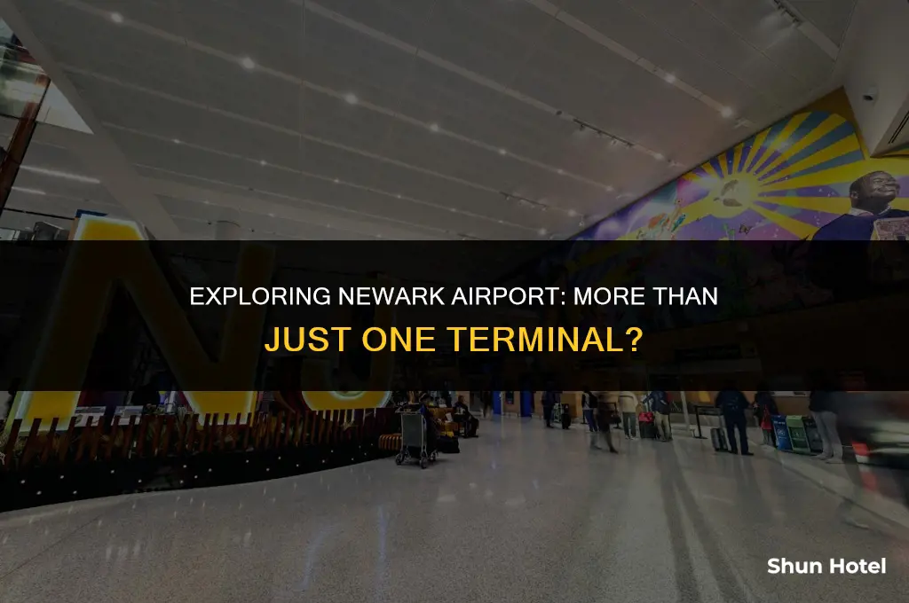 is newark airport just one terminal