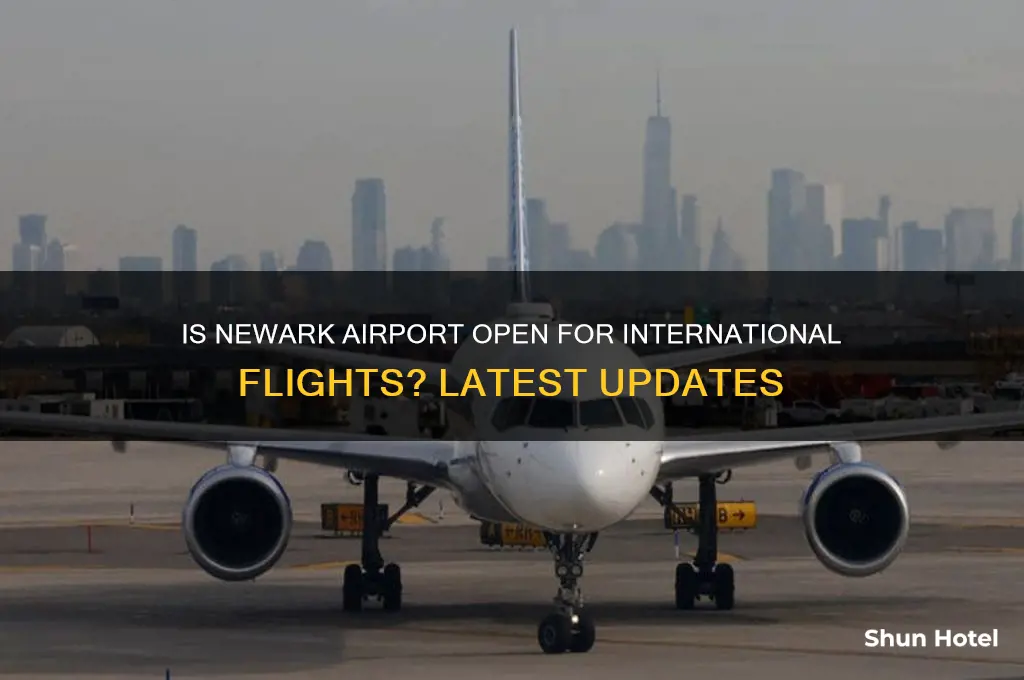 is newark airport open for international flights