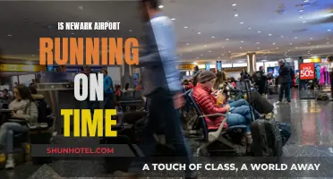 Newark Airport: Efficient Travel Hub or Delayed Destination?