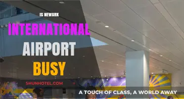 Is Newark International Airport Busy? Exploring Passenger Traffic and Wait Times