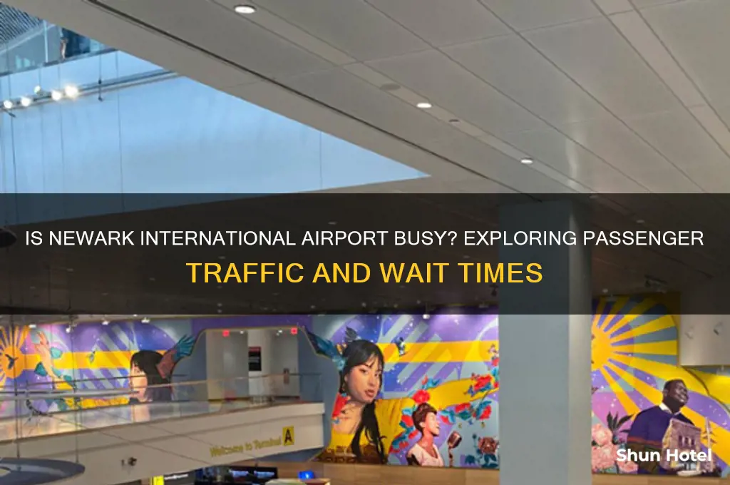 is newark international airport busy