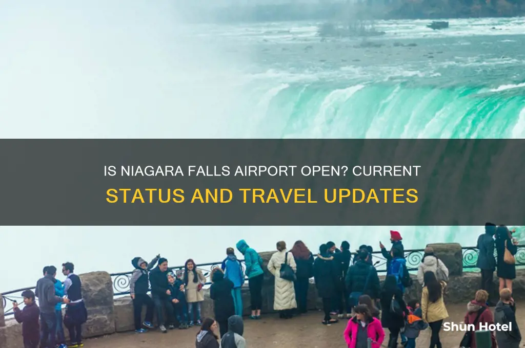 is niagara falls airport open