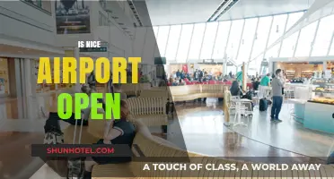 Is Nice Airport Open? Current Status and Travel Updates