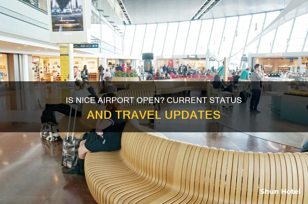 is nice airport open